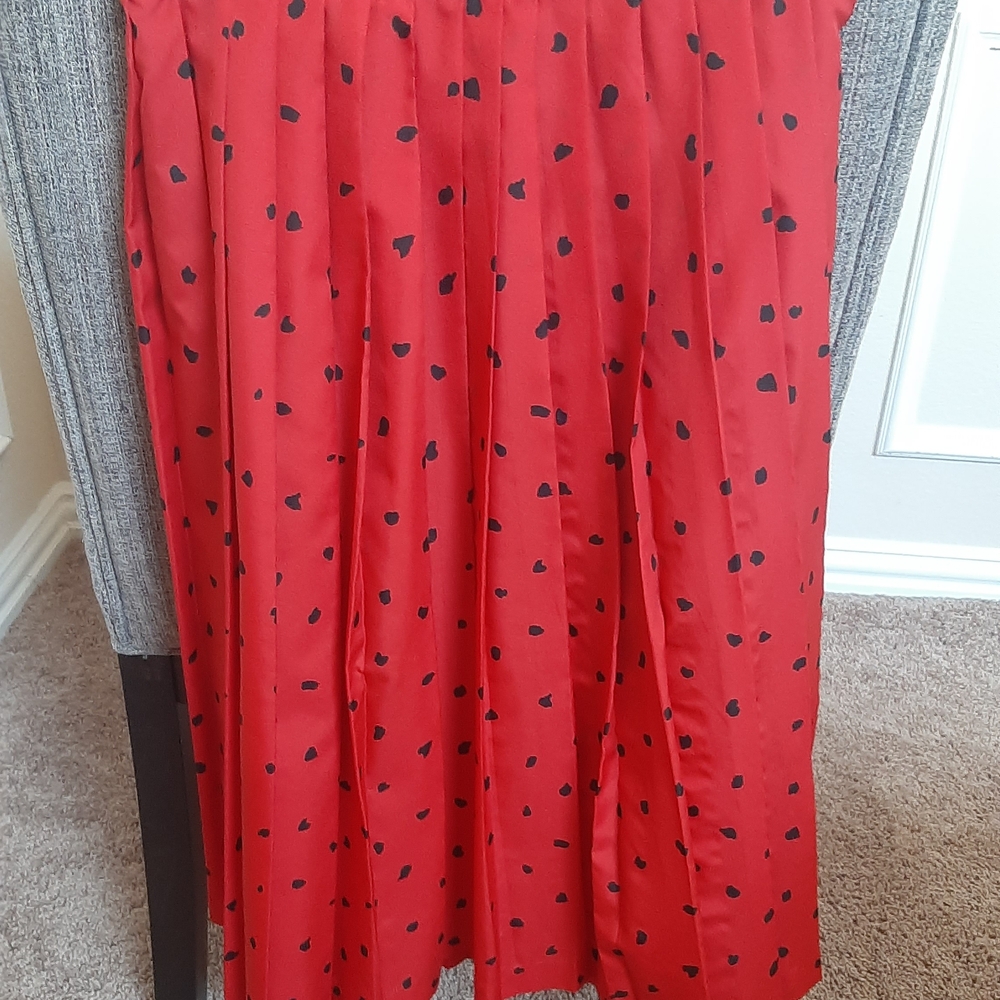 Red and Black Pleated Skirt Set - Picture 7 of 13